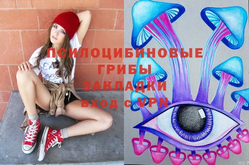 Псилоцибиновые грибы Magic Shrooms  Дедовск 